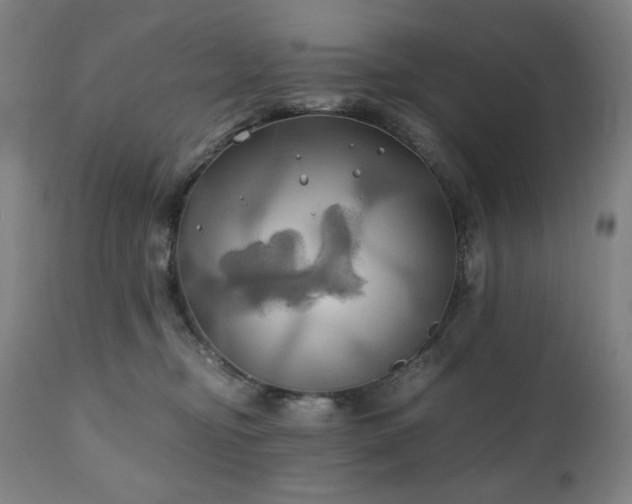 X0000111030374200906251311