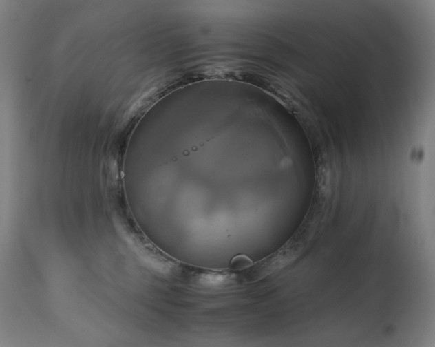 X0000111030375200906251311