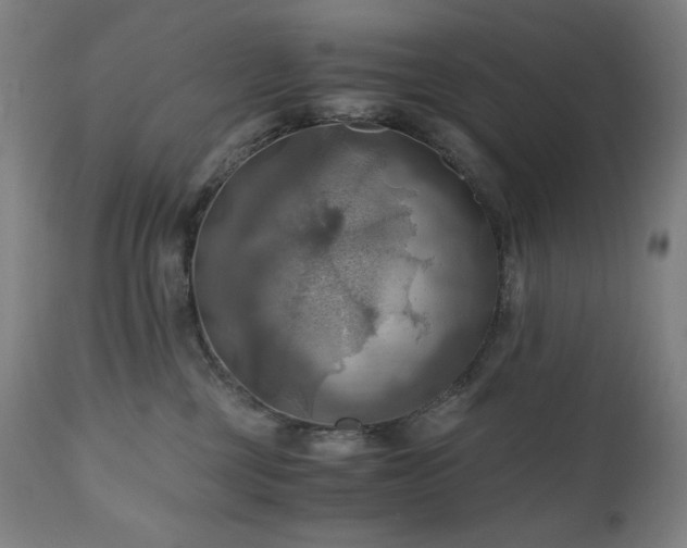 X0000111030377200906251311