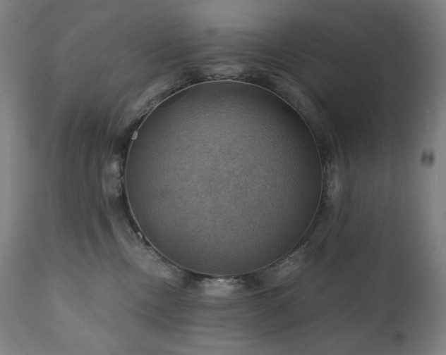 X0000111030378200906251311