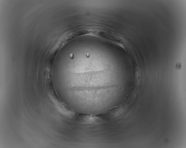 X0000111030379200906251311