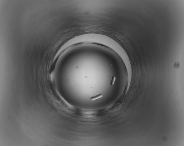X0000111030380200906251311