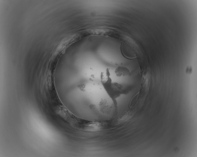 X0000111030381200906251311
