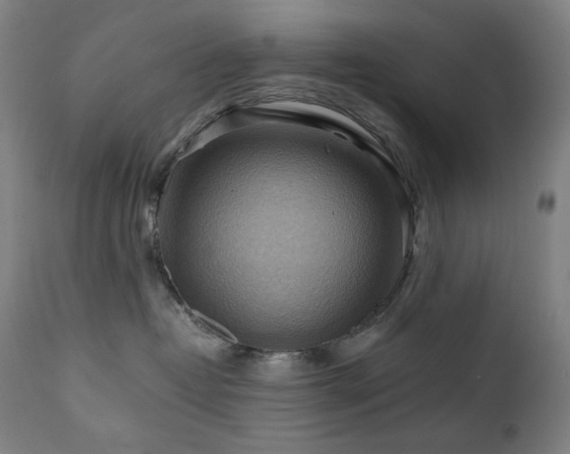 X0000111030382200906251311