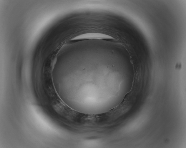 X0000111030383200906251311