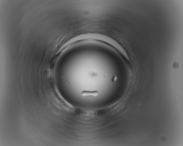 X0000111030384200906251311