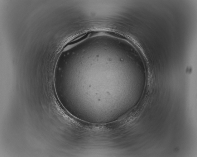 X0000111030385200906251310