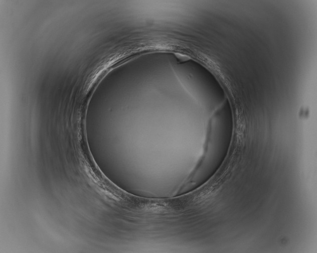 X0000111030386200906251310