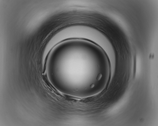 X0000111030387200906251310