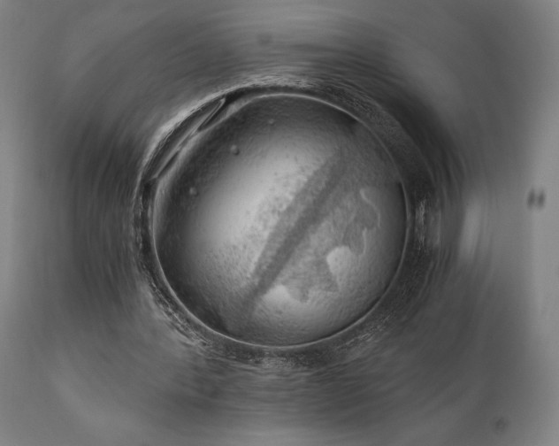 X0000111030388200906251310