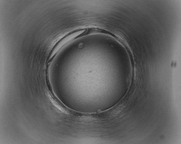 X0000111030389200906251310
