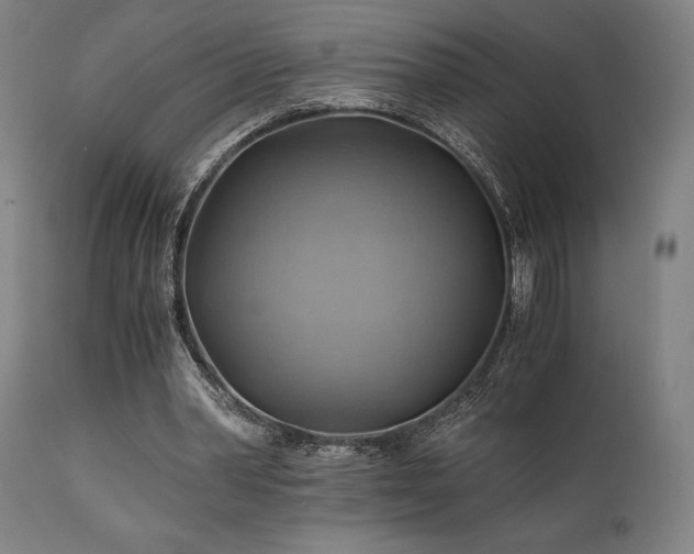 X0000111030390200906251310