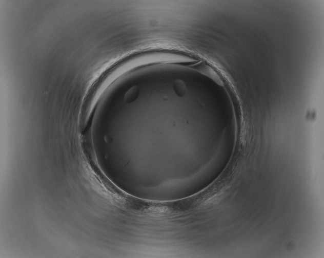 X0000111030391200906251310