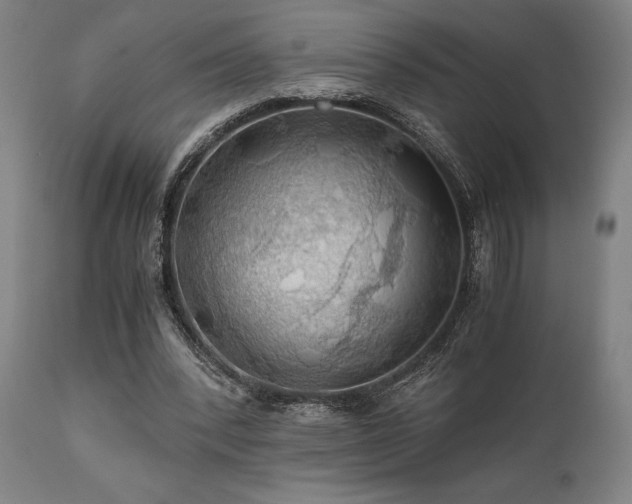 X0000111030392200906251310