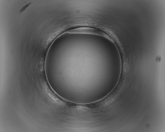 X0000111030393200906251310