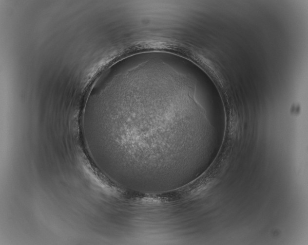 X0000111030394200906251310