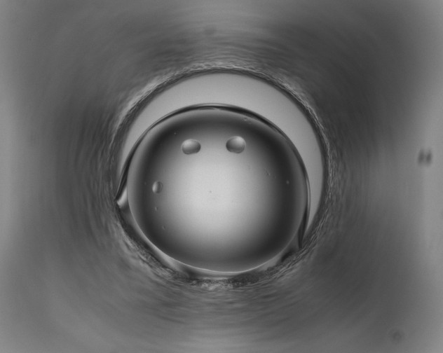X0000111030395200906251310