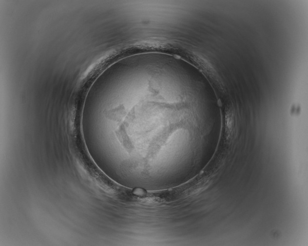 X0000111030396200906251310