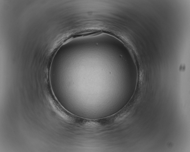 X0000111030397200906251310