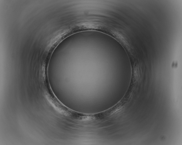 X0000111030398200906251310