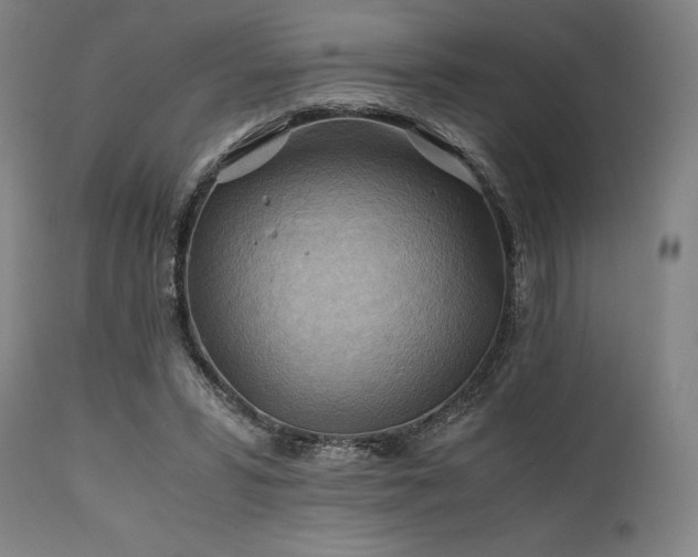 X0000111030399200906251310