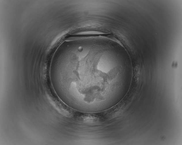 X0000111030400200906251310