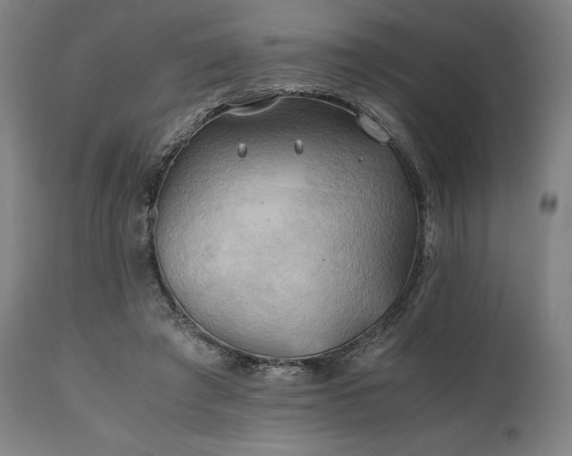 X0000111030401200906251310