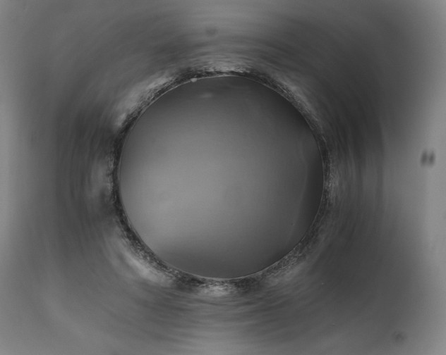 X0000111030402200906251310