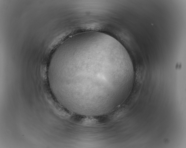 X0000111030403200906251310