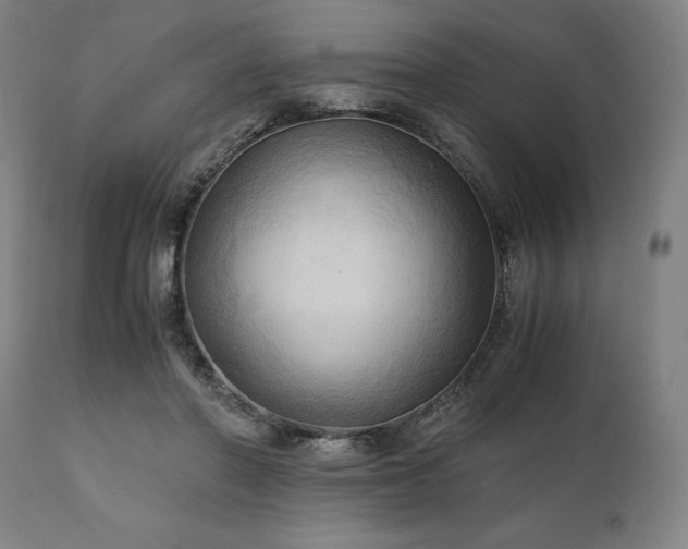 X0000111030406200906251309