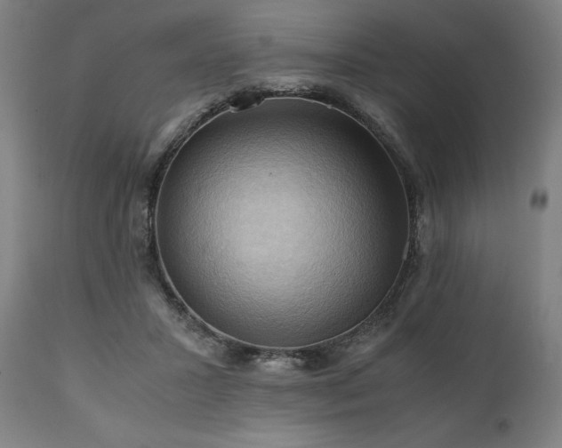 X0000111030407200906251309