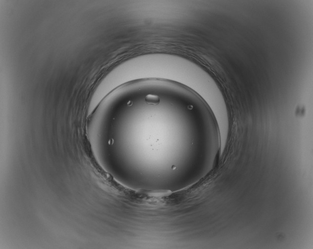 X0000111030409200906251309