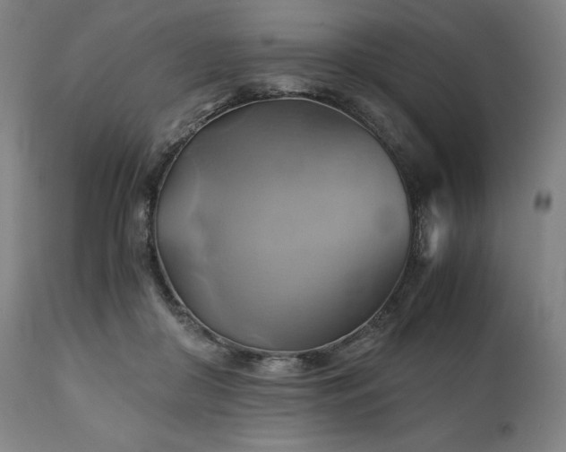 X0000111030410200906251309