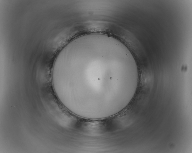 X0000111030411200906251309