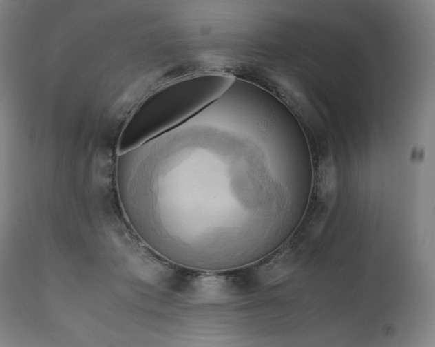 X0000111030413200906251309