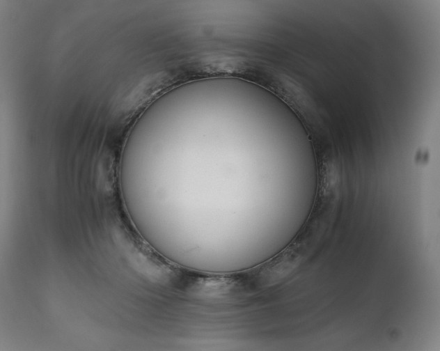 X0000111030414200906251309