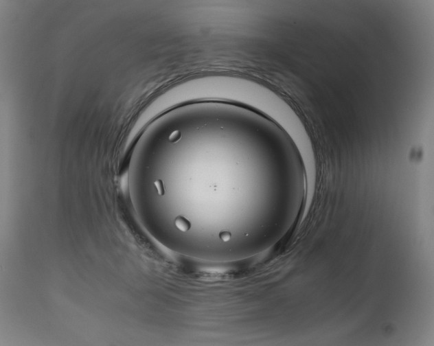 X0000111030415200906251309