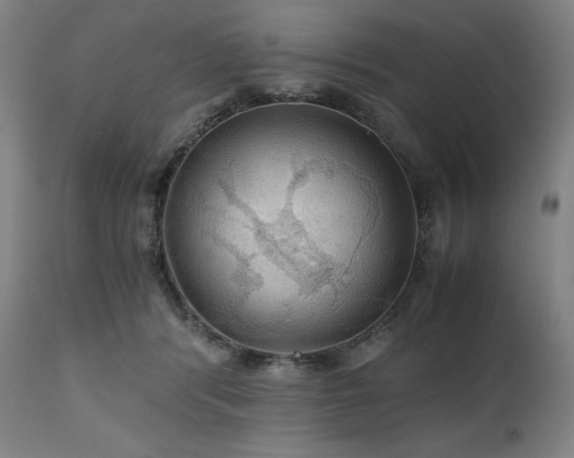 X0000111030416200906251309