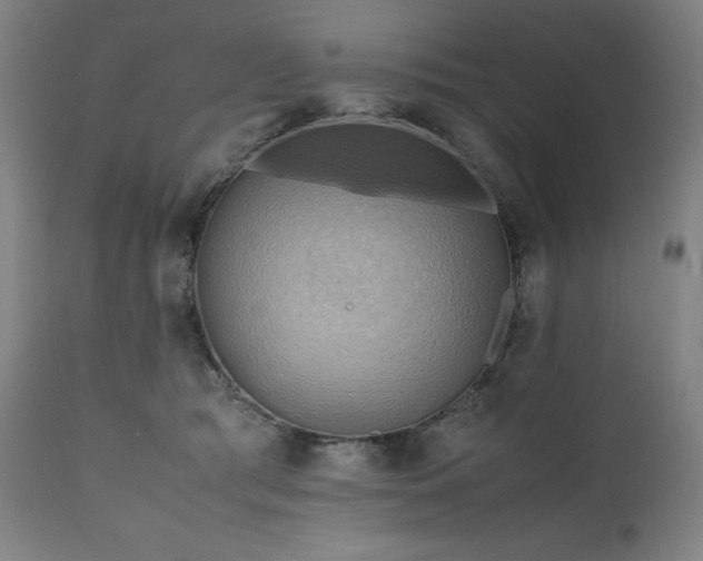 X0000111030417200906251309
