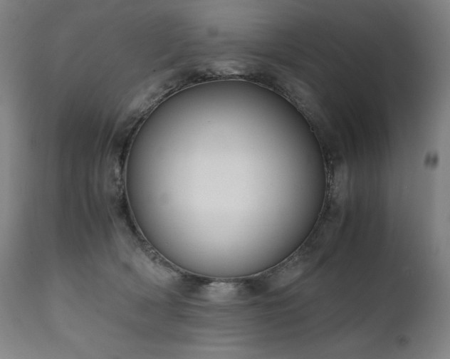X0000111030418200906251309