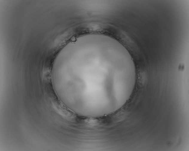 X0000111030419200906251309