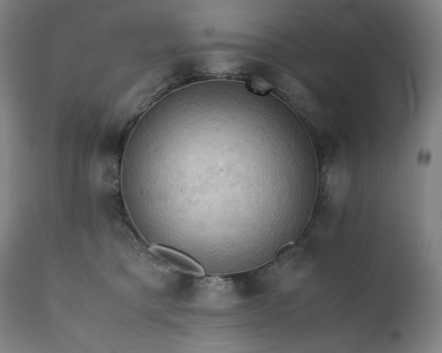 X0000111030421200906251309