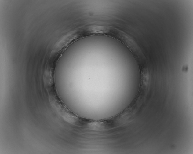 X0000111030422200906251309