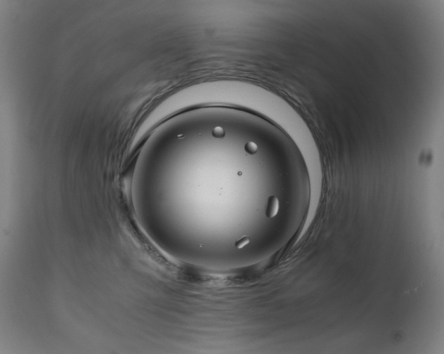 X0000111030423200906251309