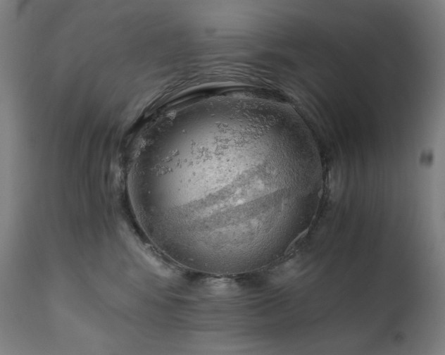 X0000111030424200906251309