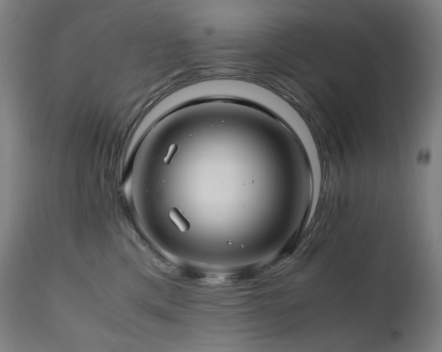 X0000111030425200906251309
