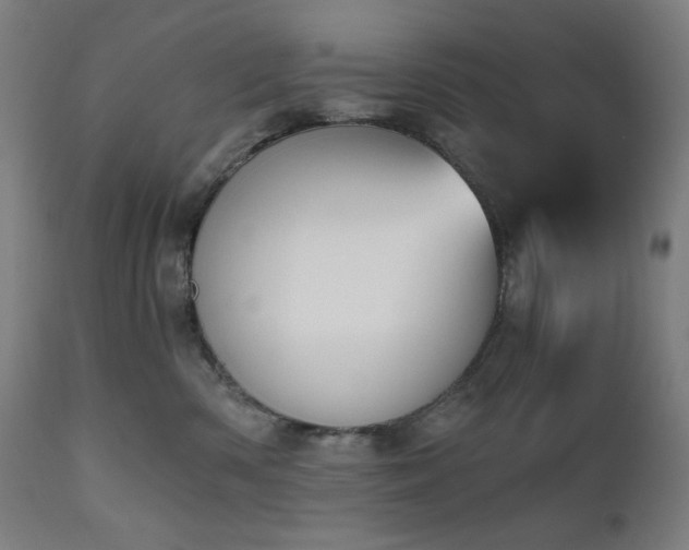 X0000111030426200906251309