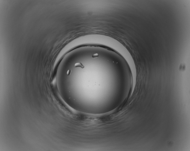 X0000111030427200906251309