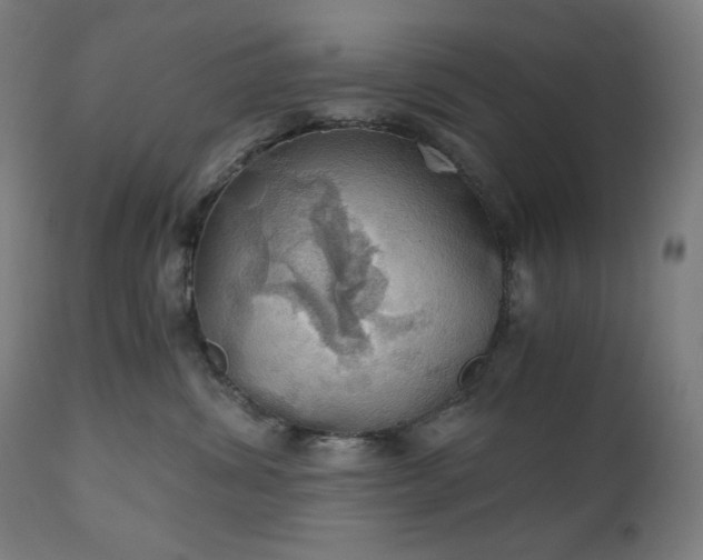 X0000111030428200906251309