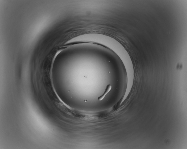 X0000111030429200906251309